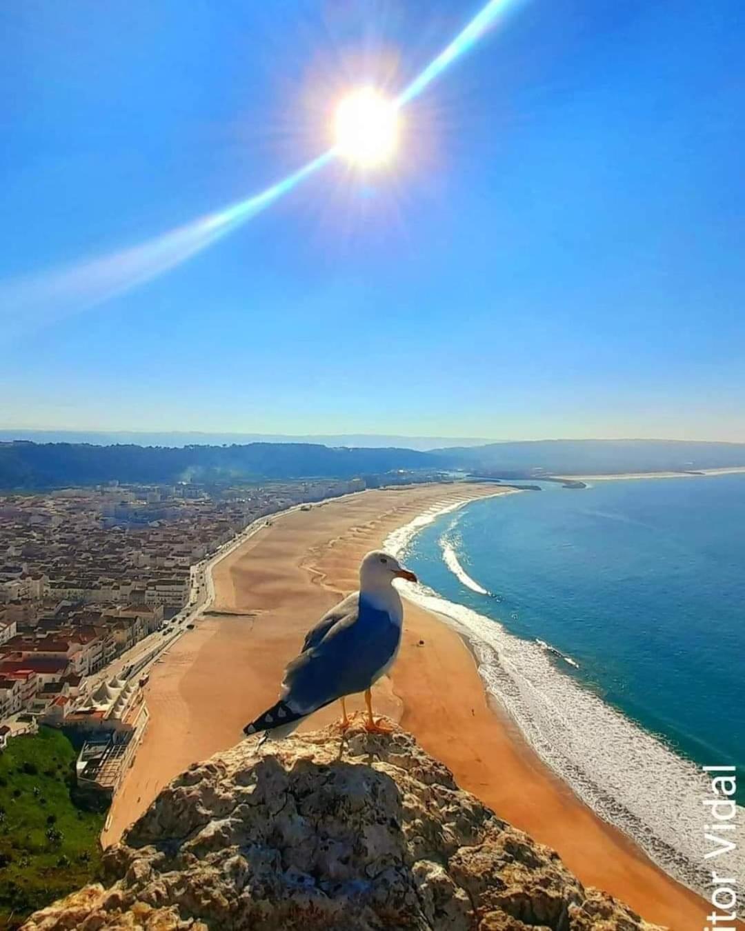 Maresia Villa Mar Nazare Bagian luar foto